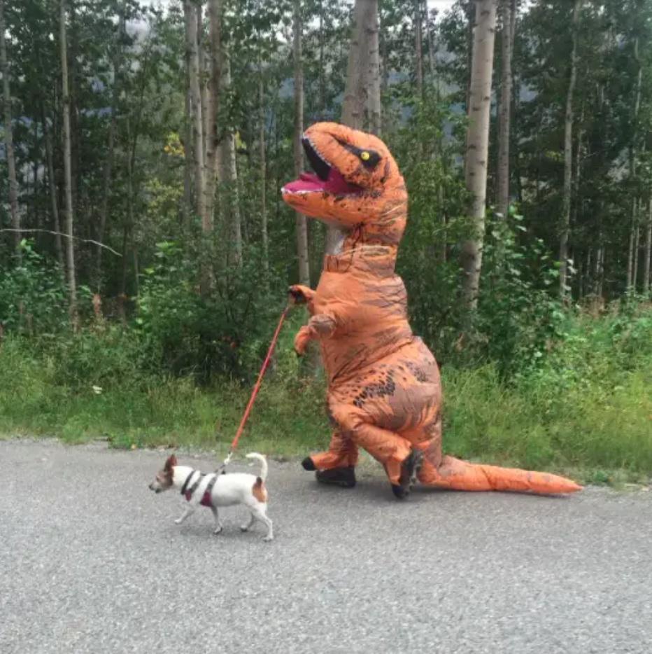 Dinosaur T-Rex Full Suit With Automatic Battery Air Inflator - view 7