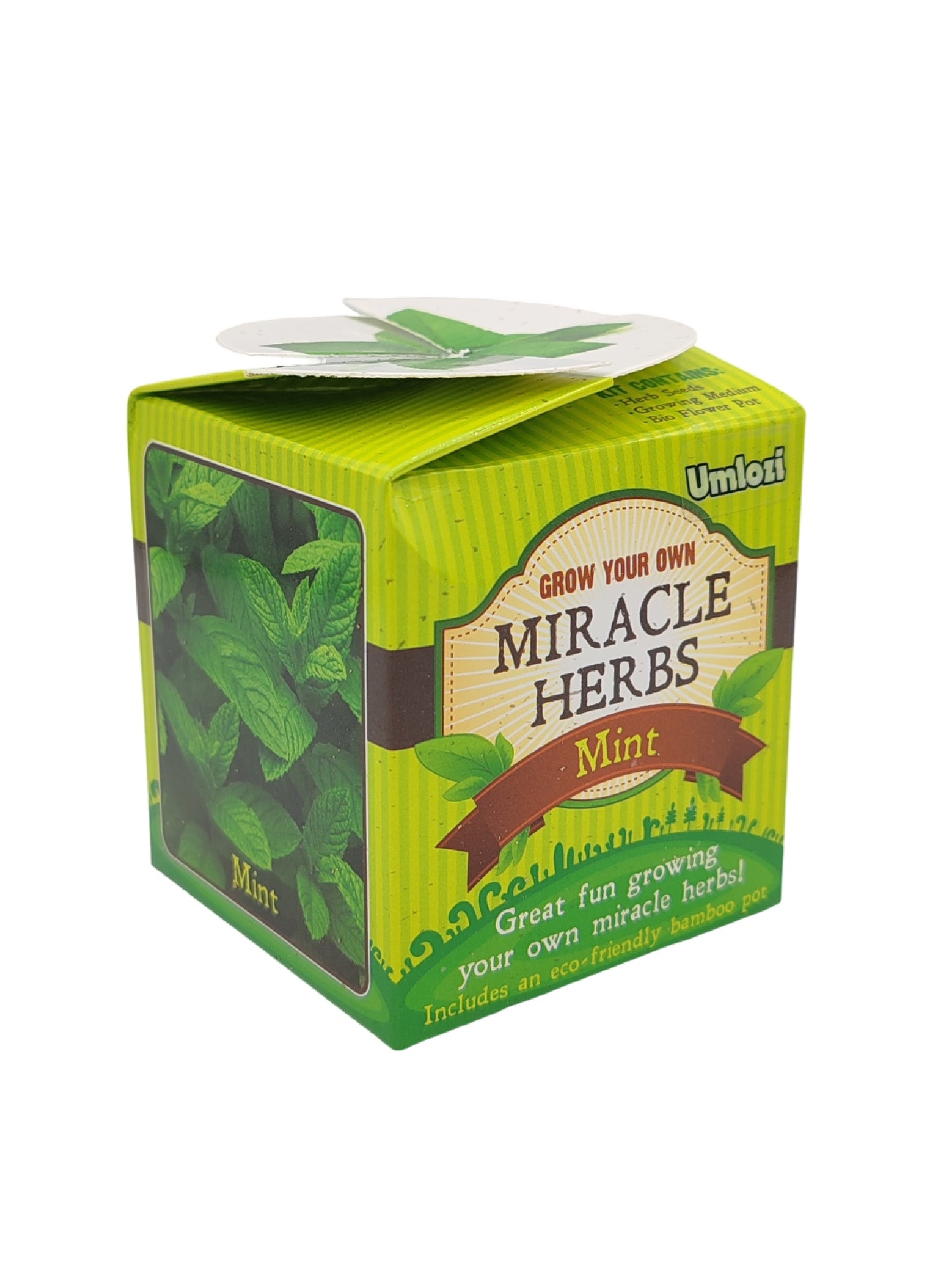 Box of Miracle Herbs Mint with green and white design on a white background