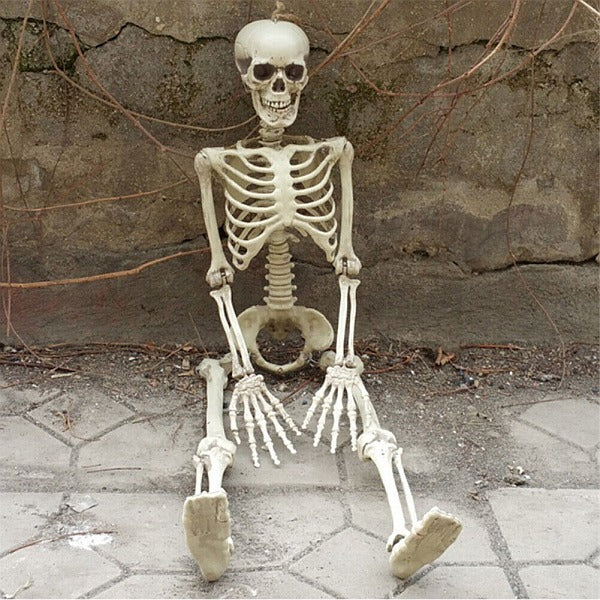 Full Sized Adjustable Skeleton 160 cm