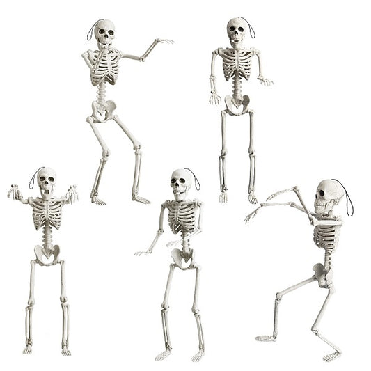 Halloween Skeleton - Plastic Adjustable Skeleton