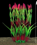 Aquarium Artificial Large Sea Weed - 36cm