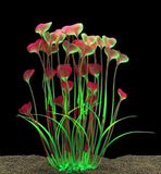 Aquarium Plants Decor Artificial Large Sea Weed - 36cm