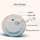 Unicorn - Starry Sky Snow Globe - Musical Night Light