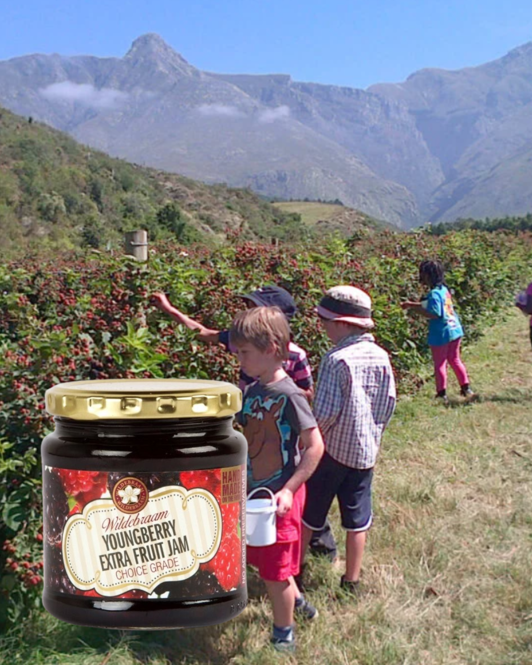 Wildebraam Youngberry Extra Fruit Jam 3 x 330g Jars