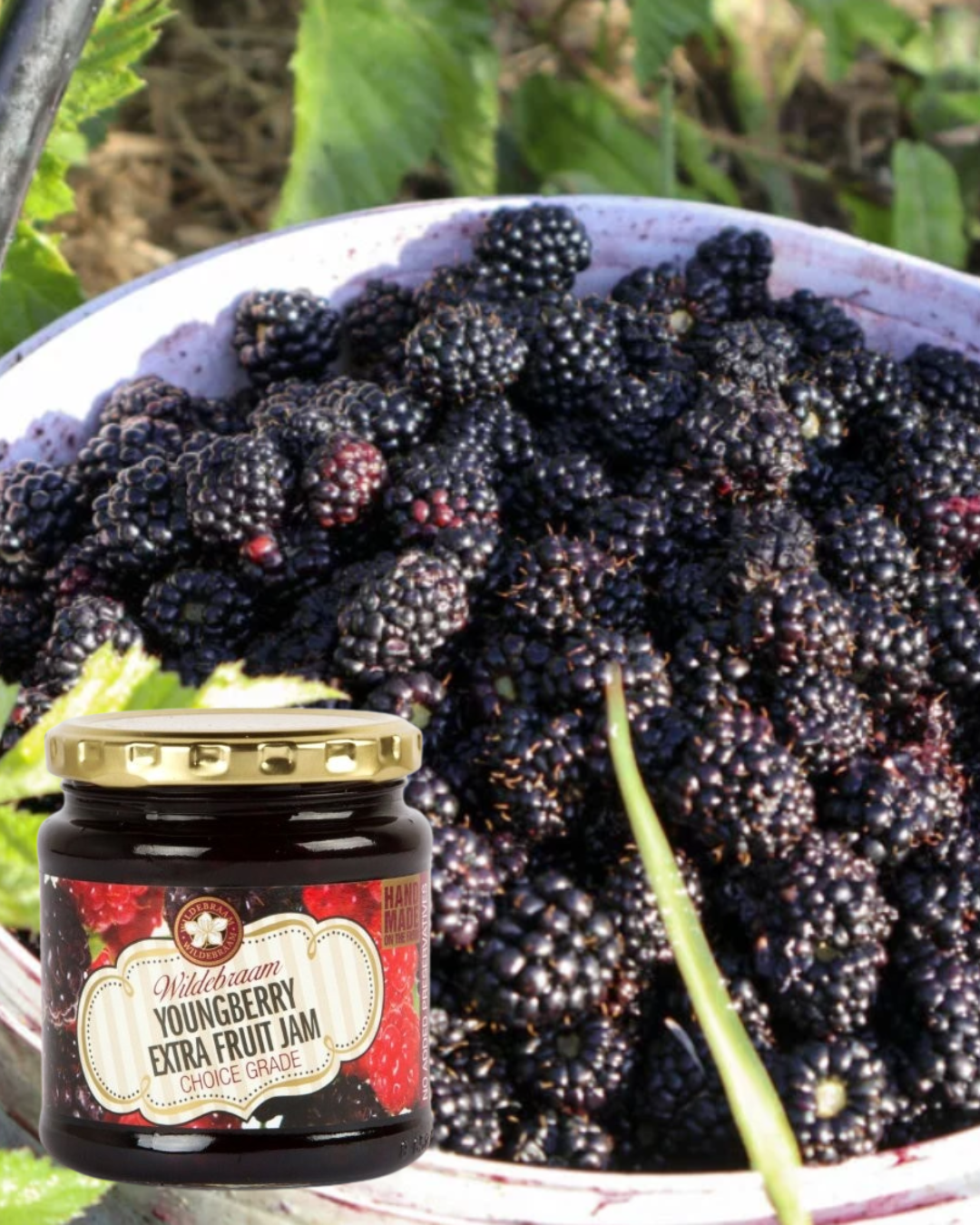 Wildebraam Youngberry Extra Fruit Jam 3 x 330g Jars