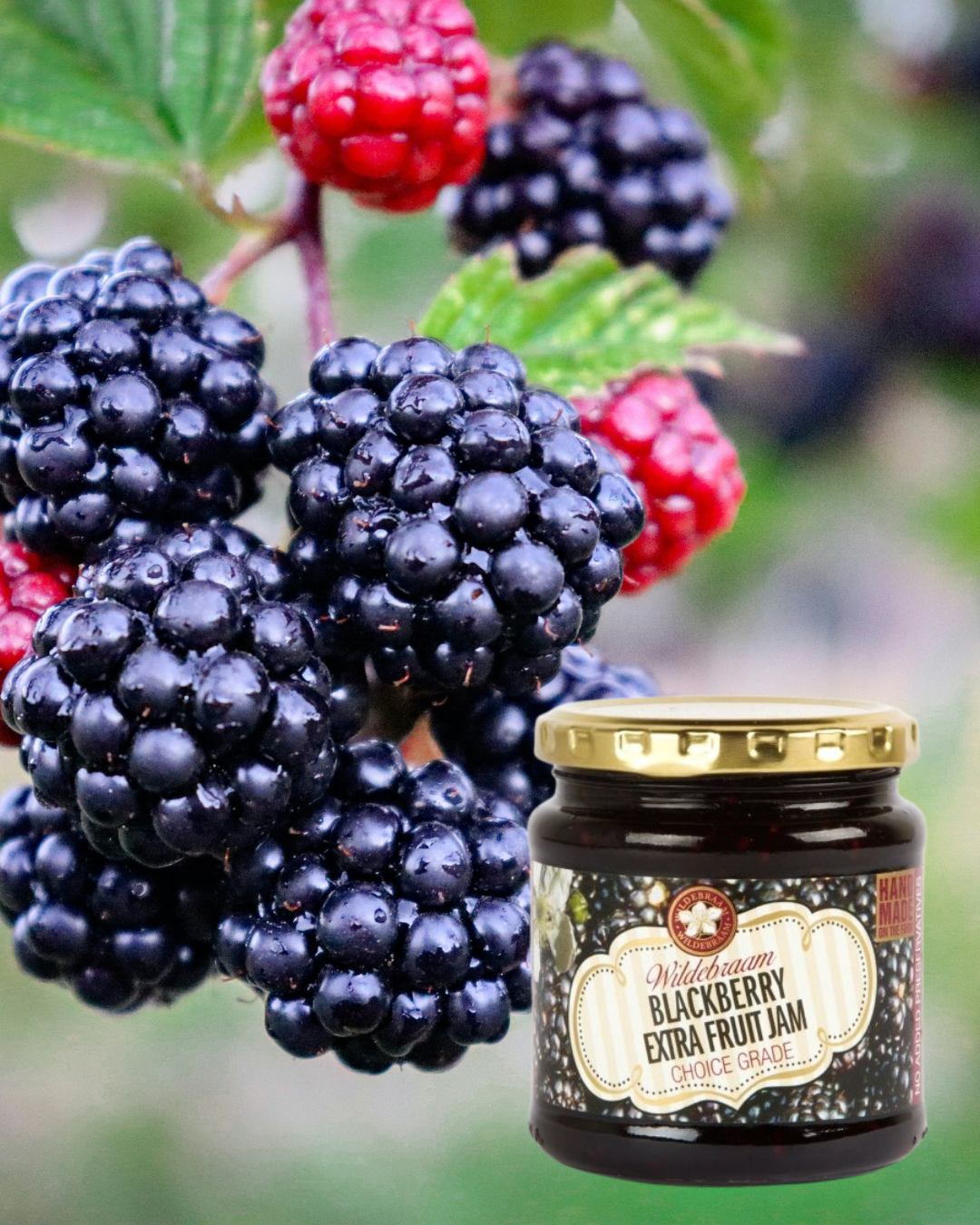 Jar of Wildflower Blackberry Extra Fruit Jam with blackberries and raspberries in the background