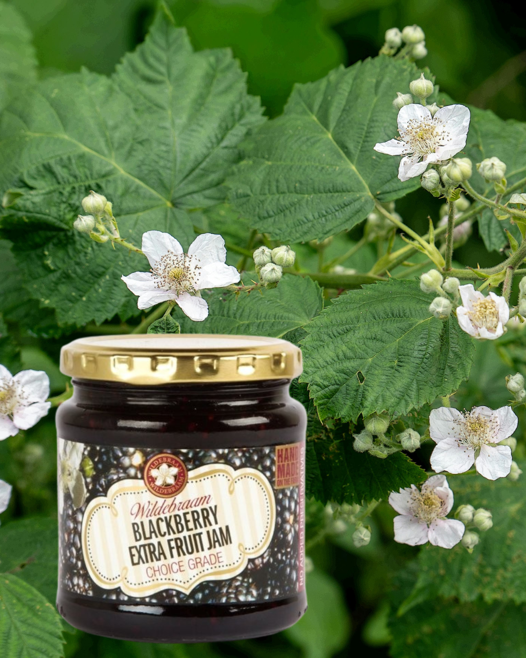 Jar of Wildscream Blackberry Extra Fruit Jam surrounded by blackberry plants and flowers