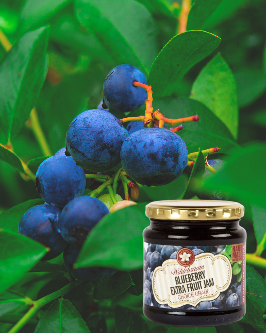Jar of blueberry jam with a cluster of blueberries on a green leafy background