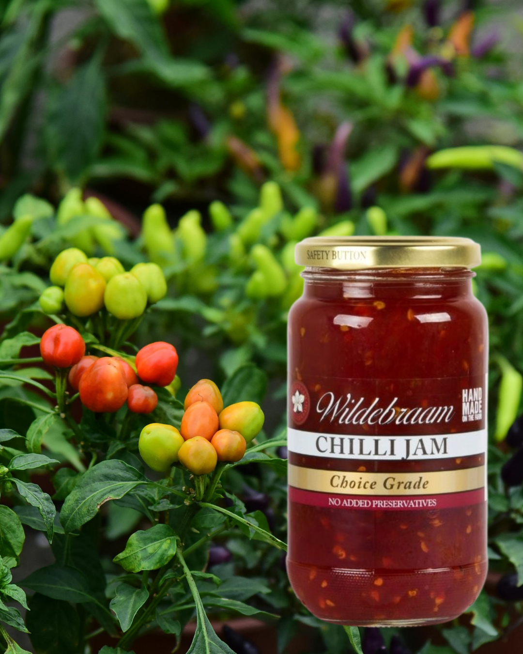 Jar of Wildebrae Chilli Jam with chili plant in the background