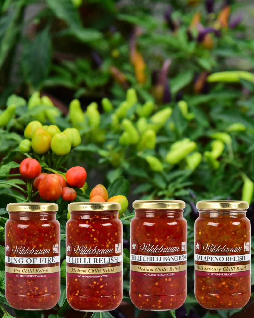 Wildebraam Chilli Combo - Ring of Fire Hot, Chilli Chilli Bang Bang Medium, Jalapeño Relish Mild and Chilli Relish Medium (4 x Jars)