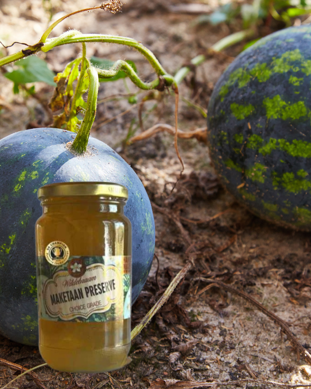 Jar of preserve with pumpkins in a natural setting