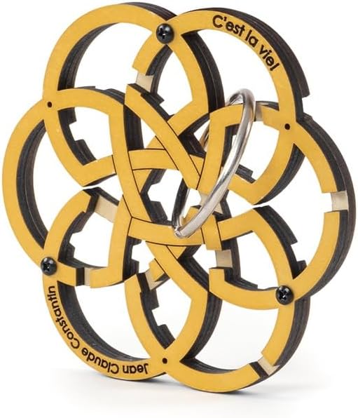 C'est La Vie, brain teasers, riddles, recent toys, product angles front view