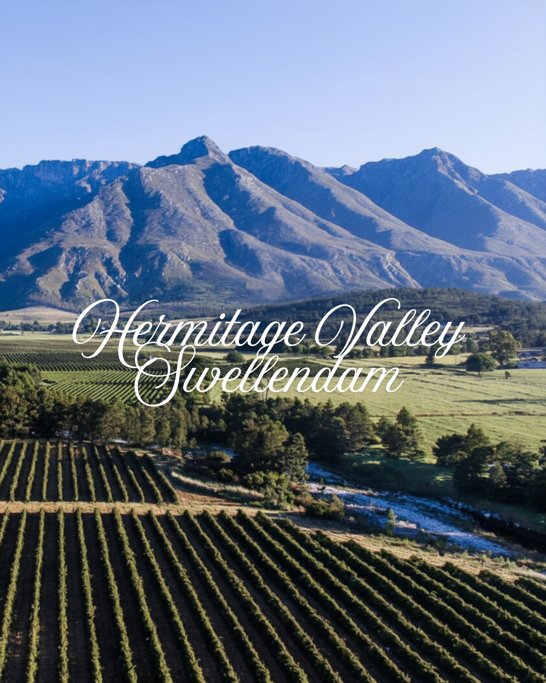Wine grapevines in a valley with mountains in the background, featuring the text 'Hermitage Valley Swellendam'.