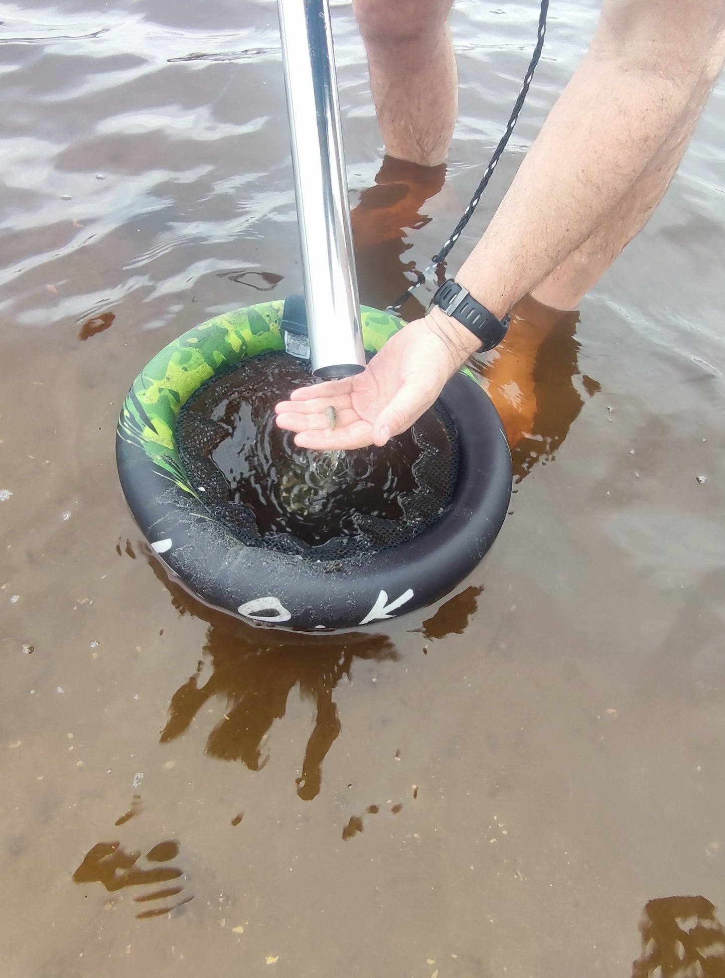 Prawn Keepr, innovative mobile shrimp catcher - LOK