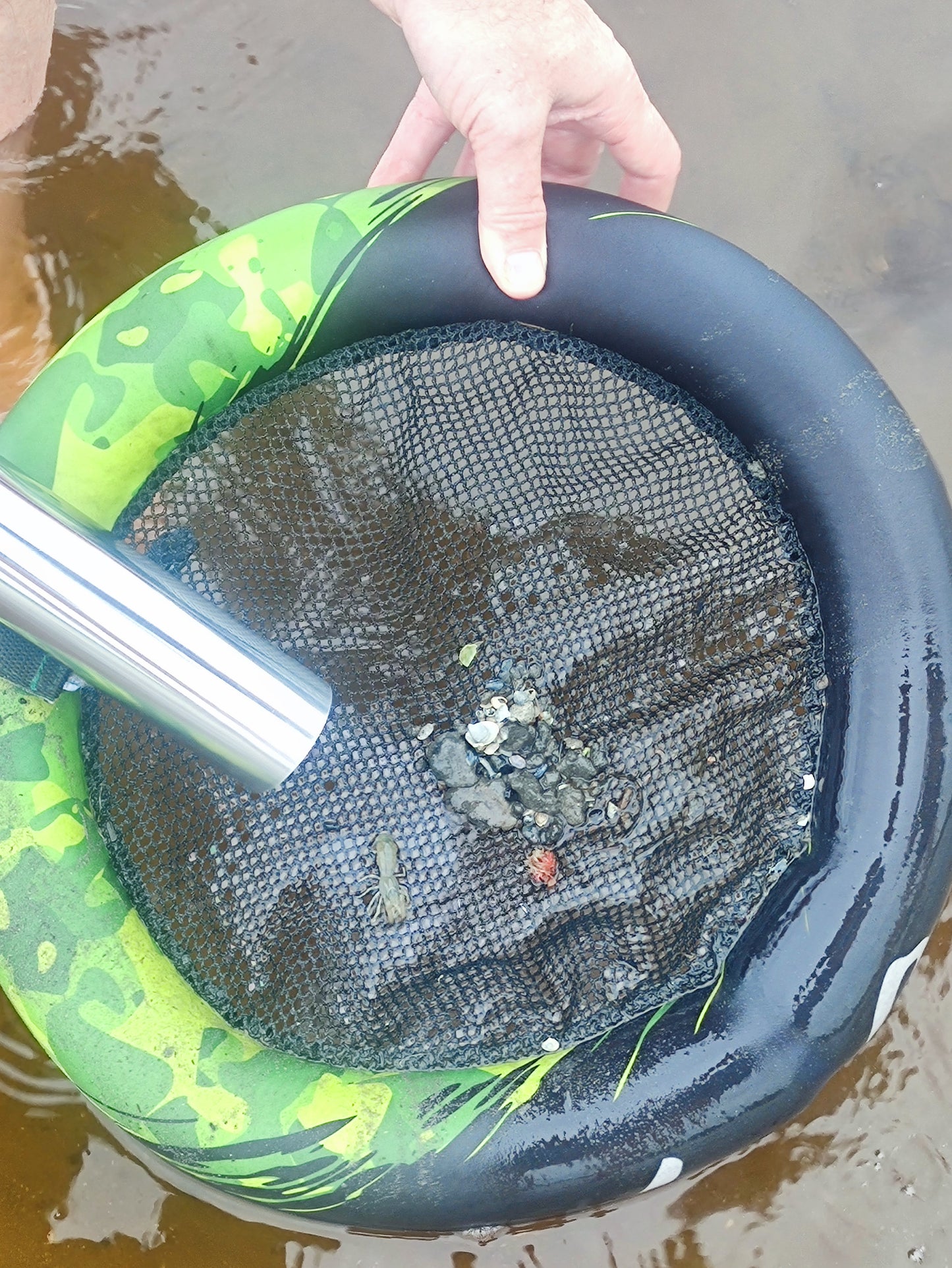 Prawn Keepr, innovative mobile shrimp catcher - LOK