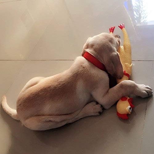 Screaming Chicken Chew Toy for Dogs - Rubber Chicken