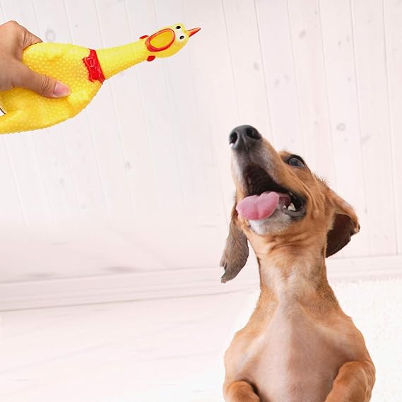 Screaming Chicken Chew Toy for Dogs - Rubber Chicken
