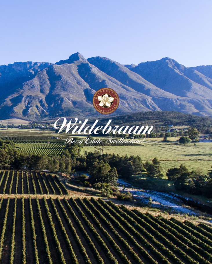 Hermitage Valley Swellendam with vineyards and mountains in the background
