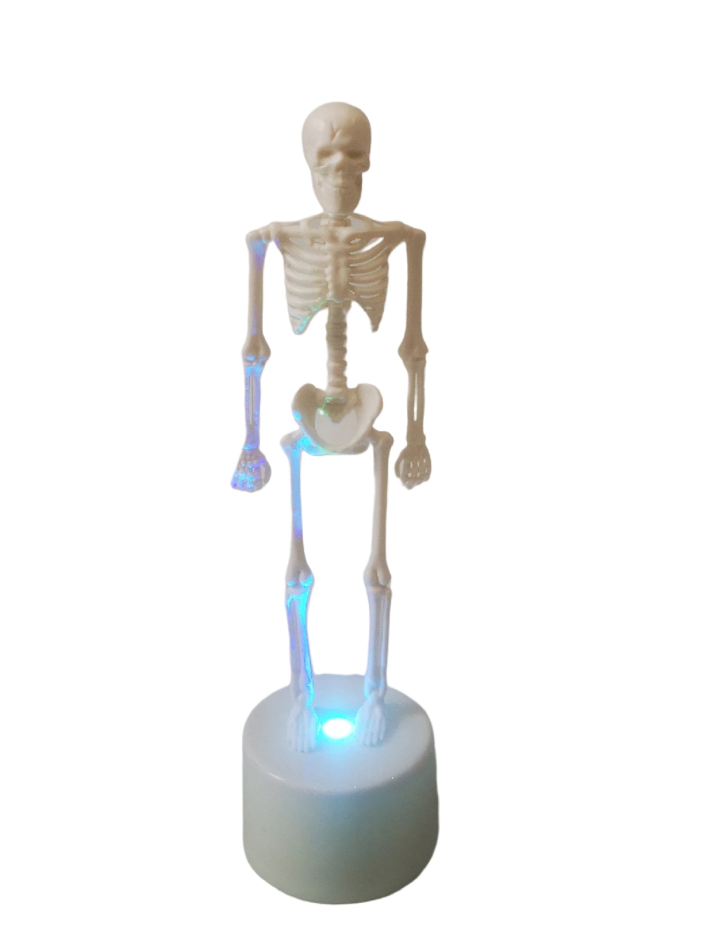 Halloween Skeleton - Plastic Adjustable Skeleton