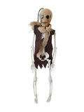 Halloween Skeleton - Plastic Adjustable Skeleton