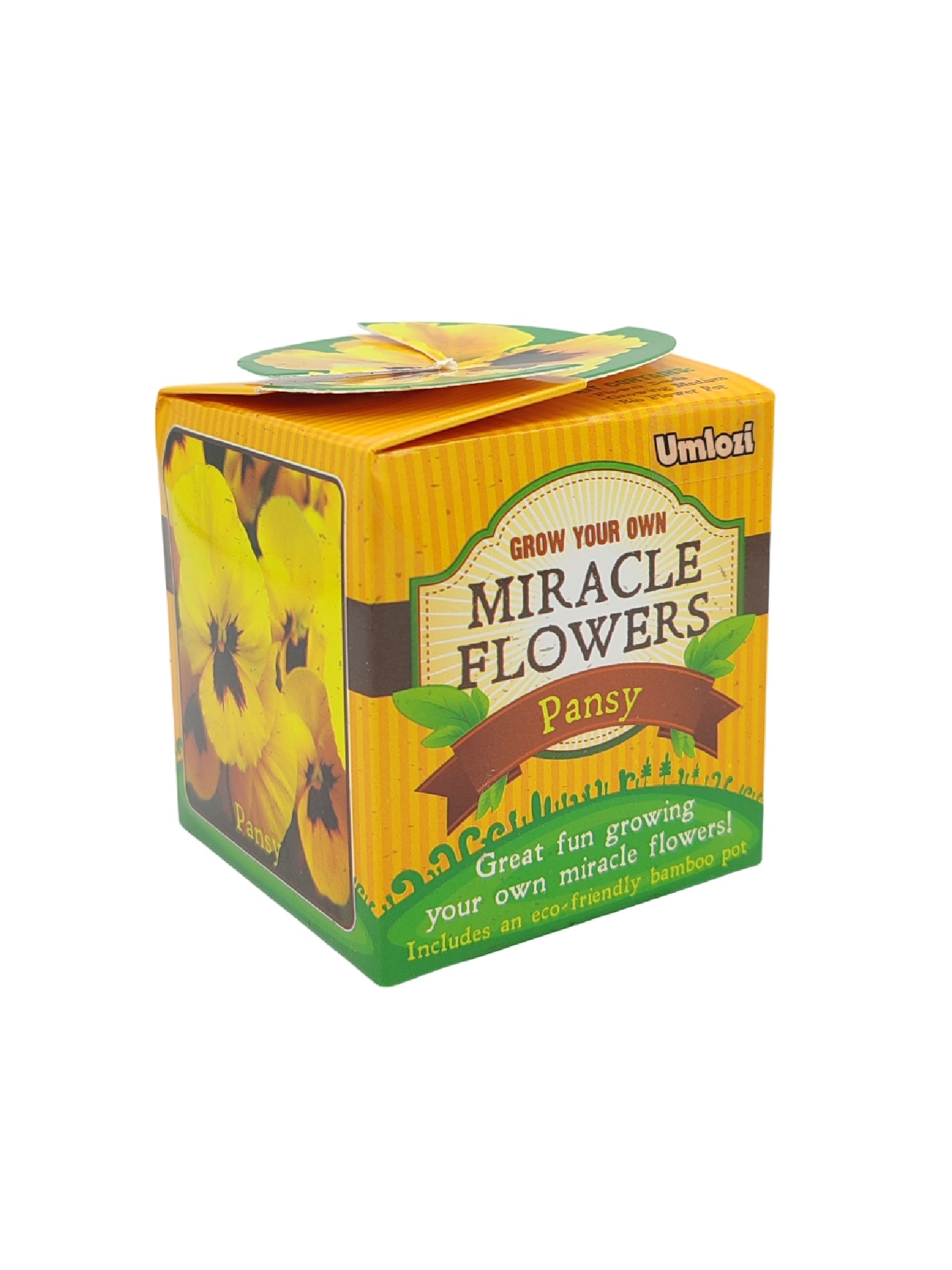 Box of Umlozi Grow Your Own Miracle Flowers Pansy kit on a white background
