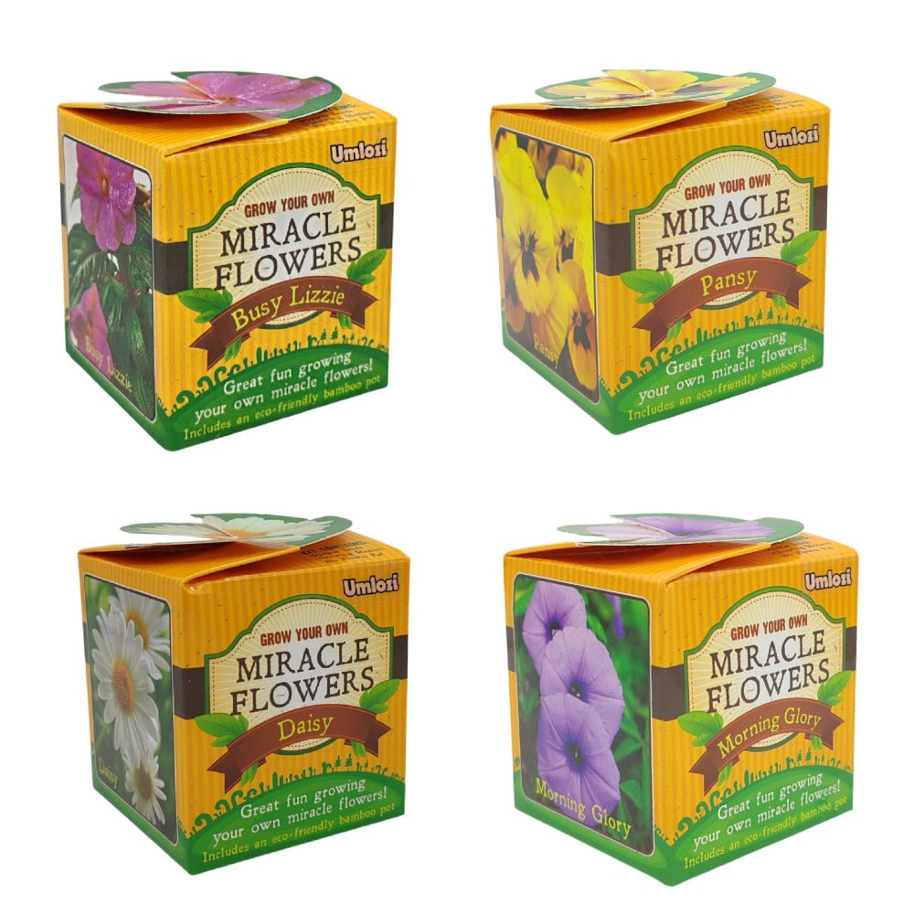 Four boxes of Miracle Flowers with different flower types on a white background