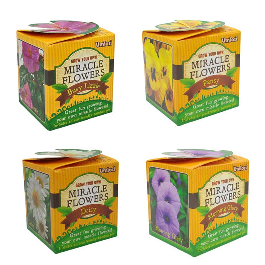 Four boxes of Miracle Flowers with different flower types on a white background