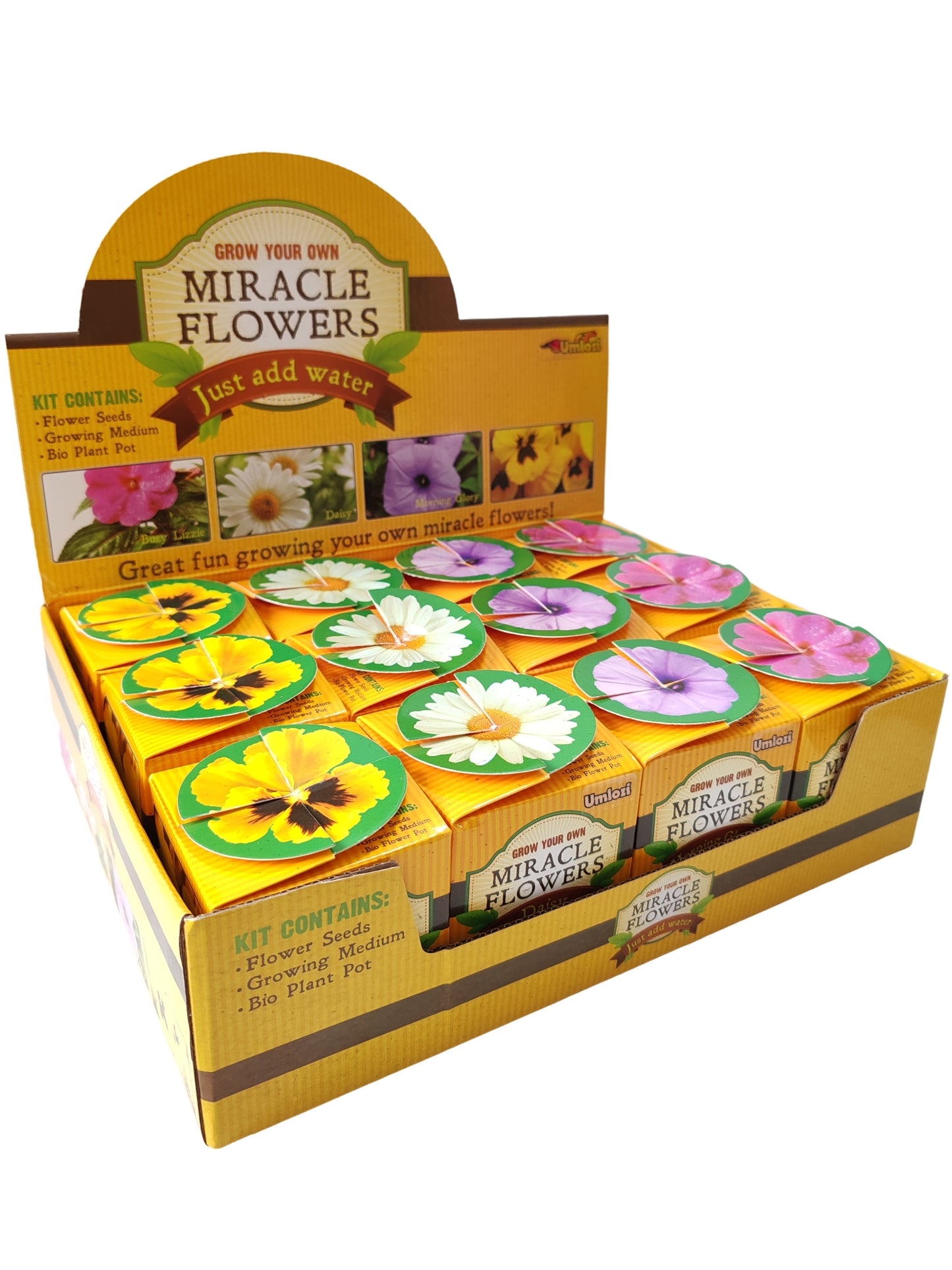 Display box of Miracle Flowers gardening kit with flower seed packets.