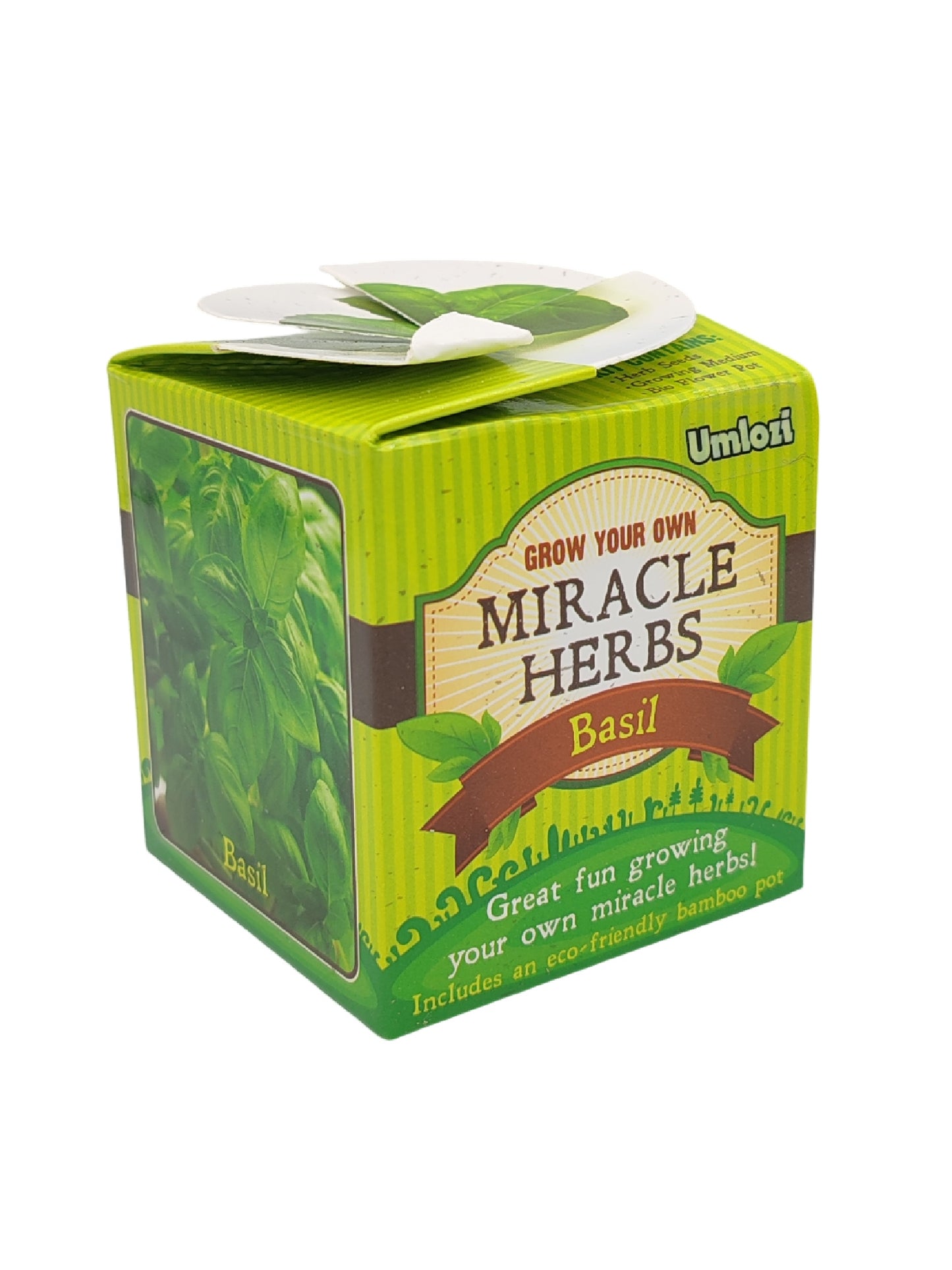 Box of 'Grow Your Own Miracle Herbs' basil kit by Umlozi on a white background