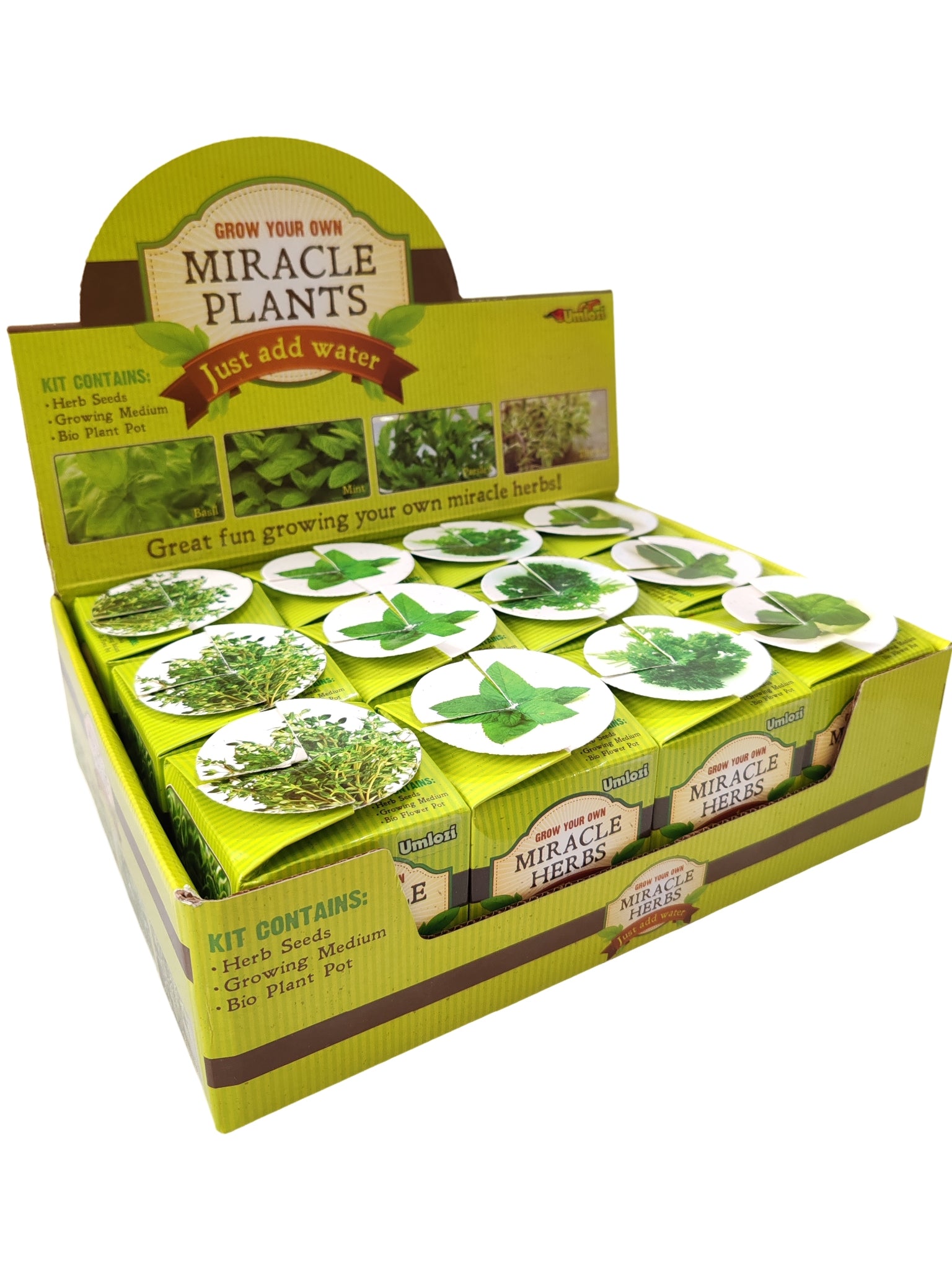 Box of 'Grow Your Own Miracle Plants' kit with greenery on a white background