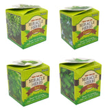 Herb Pots & Seedlings - Educational & Fun 4 Pack