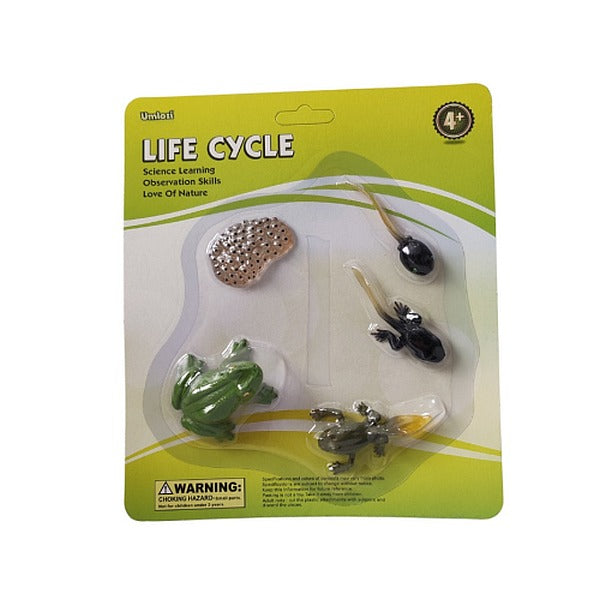 Packaged educational toy set showing the life cycle of a frog on a green background