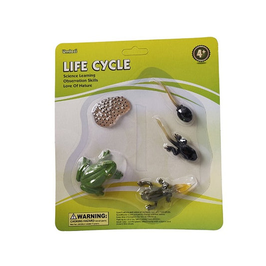 Packaged educational toy set showing the life cycle of a frog on a green background