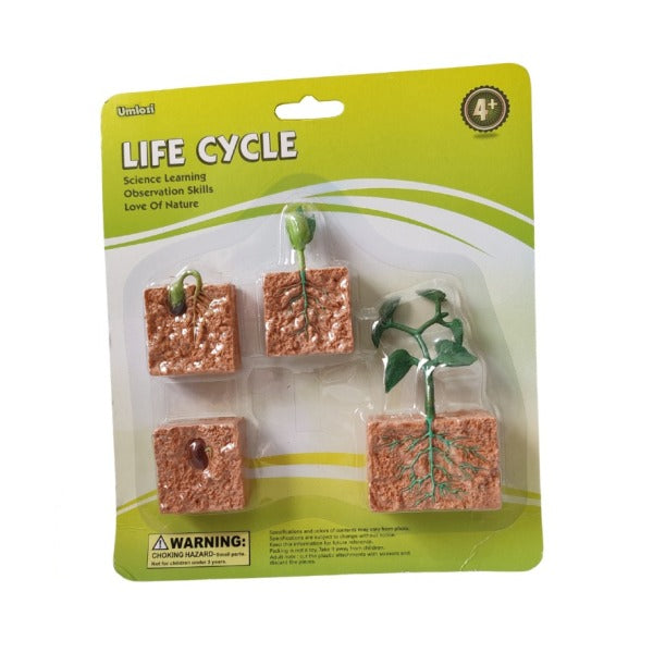 Packaged educational toy set showing plant life cycle stages on a green background