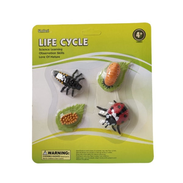 Packaged educational toy set showing insect life cycle on a green and white background