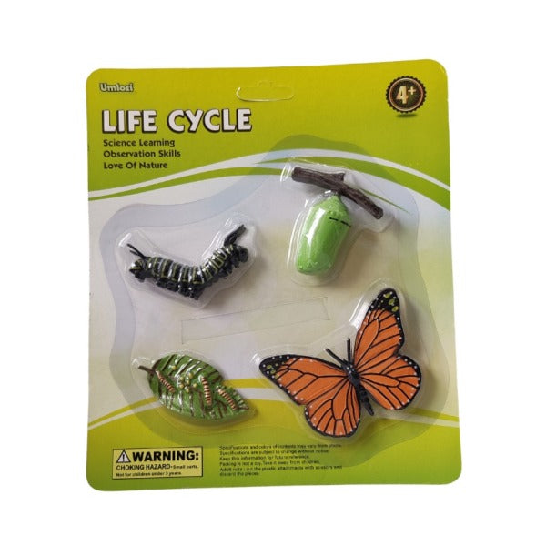 Packaged butterfly life cycle set with caterpillar, chrysalis, and butterfly on a green background.