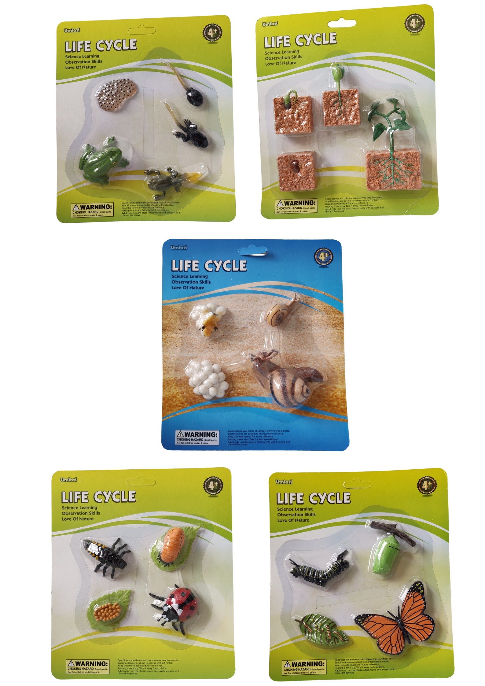 Five packages of 'Life Cycle' educational toys on a white background