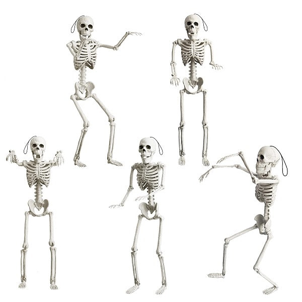 Halloween Skeleton - Plastic Adjustable Skeleton