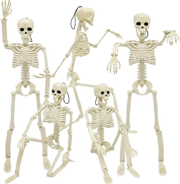Halloween Skeleton - Plastic Adjustable Skeleton