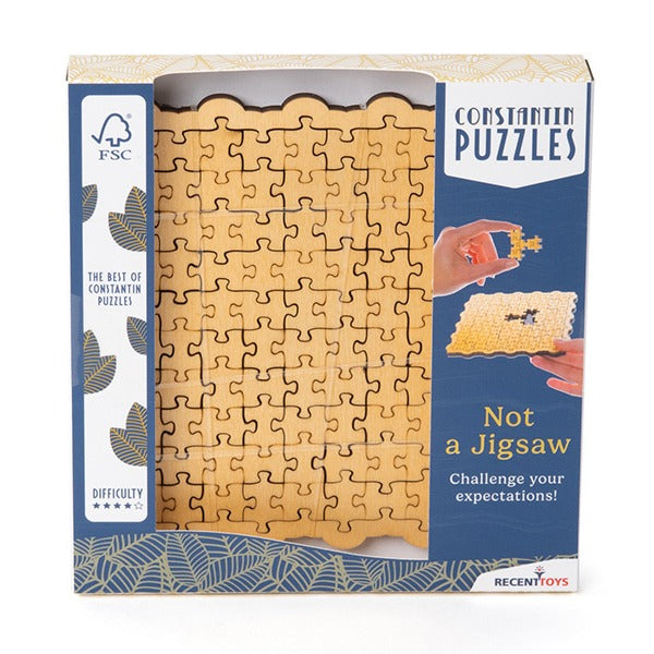 not a jigsaw, brain teasers, riddles, recent toys front packaged
