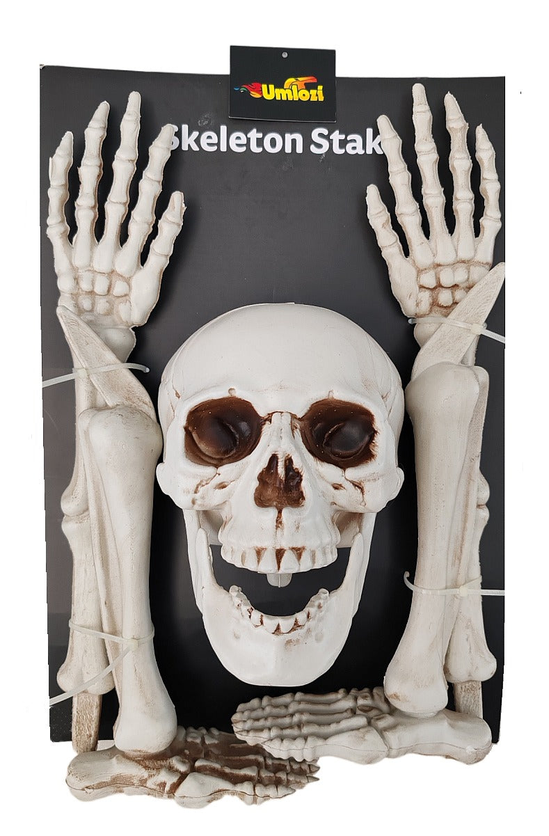 Halloween Set Of Bones, Skulls, Feet, Hands, Fore Arms and Shins