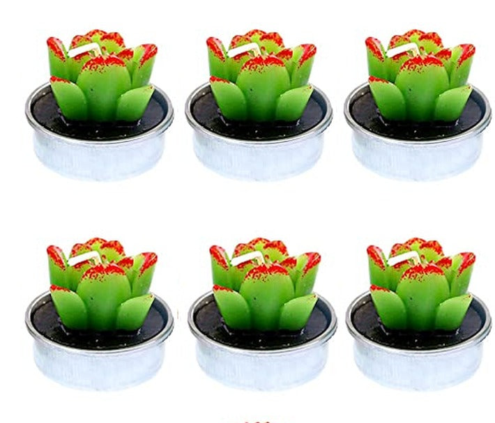 Tealight Candle Succulent Plant Designs 6 Pack