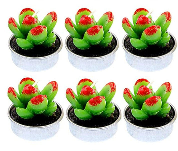 Tealight Candle Succulent Plant Designs 6 Pack