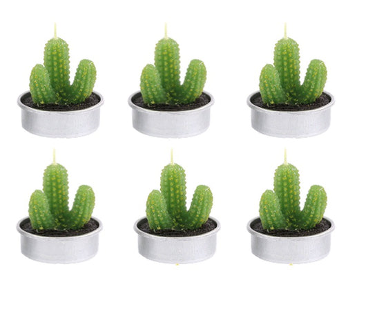Tealight Candle Succulent Plant Designs 6 Pack