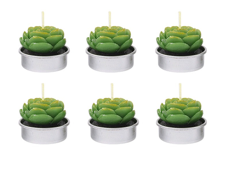 Tealight Candle Succulent Plant Designs 6 Pack