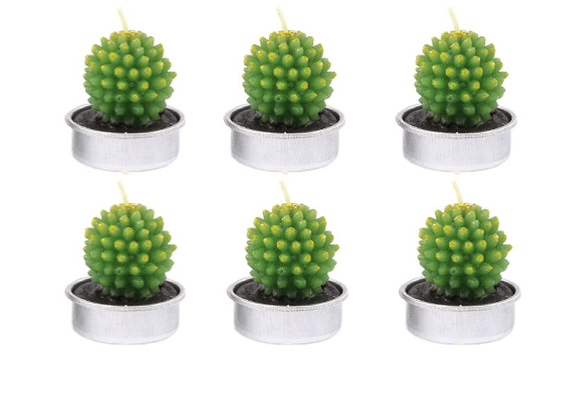 Tealight Candle Succulent Plant Designs 6 Pack