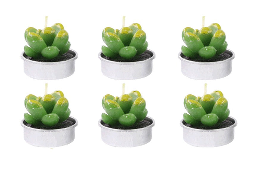 Tealight Candle Succulent Plant Designs 6 Pack