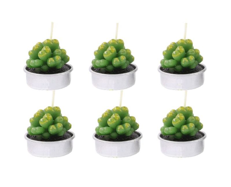 Tealight Candle Succulent Plant Designs 6 Pack