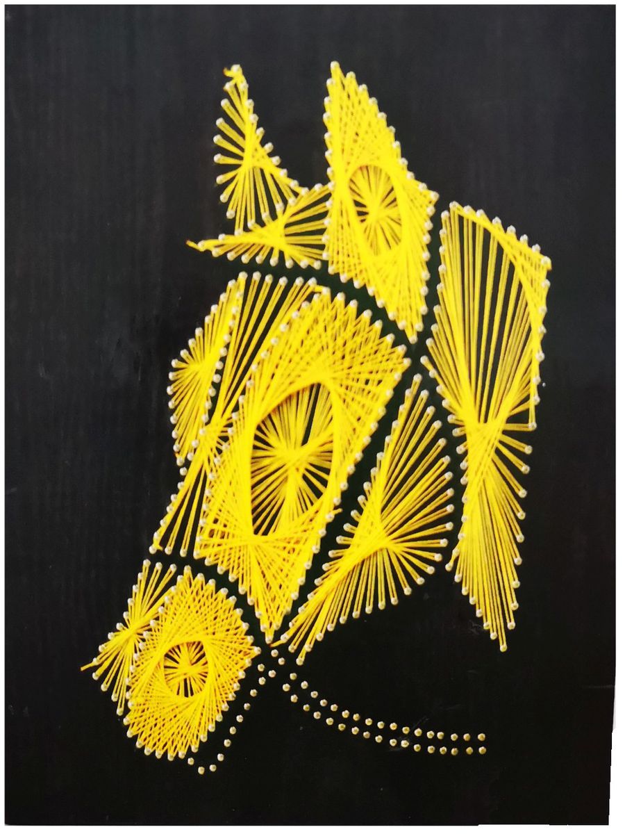 String Art Kit & Black Wood Frame Board - Horse - 40 x 30 cm
